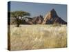 Nests of Weaverbirds, Spitskoppe Mountains, Damaraland, Namibia, Africa-Peter Groenendijk-Stretched Canvas