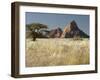 Nests of Weaverbirds, Spitskoppe Mountains, Damaraland, Namibia, Africa-Peter Groenendijk-Framed Photographic Print