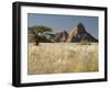 Nests of Weaverbirds, Spitskoppe Mountains, Damaraland, Namibia, Africa-Peter Groenendijk-Framed Photographic Print