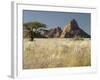 Nests of Weaverbirds, Spitskoppe Mountains, Damaraland, Namibia, Africa-Peter Groenendijk-Framed Photographic Print