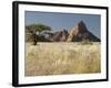 Nests of Weaverbirds, Spitskoppe Mountains, Damaraland, Namibia, Africa-Peter Groenendijk-Framed Photographic Print