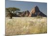 Nests of Weaverbirds, Spitskoppe Mountains, Damaraland, Namibia, Africa-Peter Groenendijk-Mounted Photographic Print