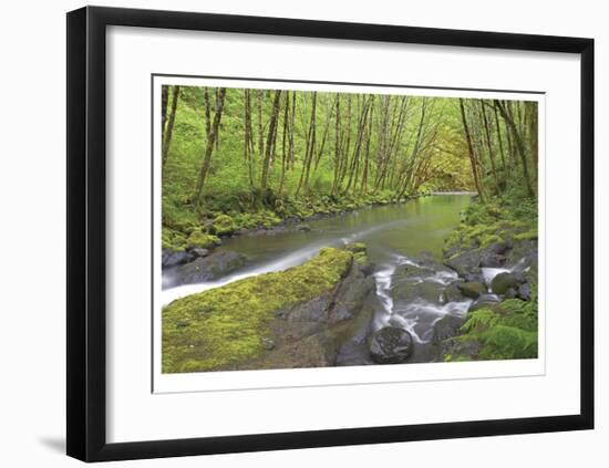 Nestucca River I-Donald Paulson-Framed Giclee Print