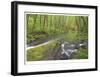 Nestucca River I-Donald Paulson-Framed Giclee Print