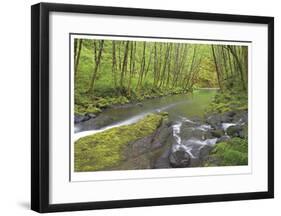 Nestucca River I-Donald Paulson-Framed Giclee Print