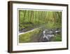 Nestucca River I-Donald Paulson-Framed Giclee Print