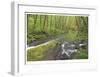 Nestucca River I-Donald Paulson-Framed Giclee Print