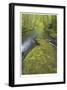 Nestucca River II-Donald Paulson-Framed Giclee Print