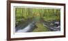 Nestucca River Panorama-Donald Paulson-Framed Giclee Print