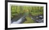 Nestucca River Panorama-Donald Paulson-Framed Giclee Print