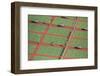 Netball Courts, Auckland Netball Center, Mount Wellington, Auckland, North Island, New Zealand-David Wall-Framed Photographic Print