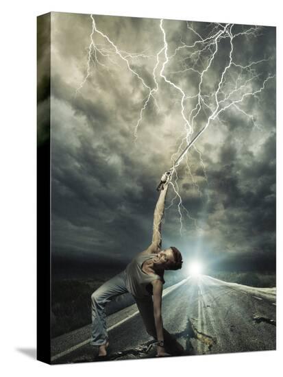 Stretched Canvas Print, , large