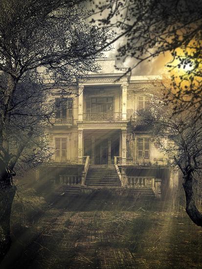Photographic Print, , large