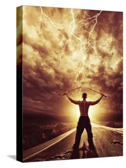 Stretched Canvas Print, , large