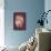 Netflix Bridgerton: Season 2 - Sparkle-Trends International-Framed Poster displayed on a wall