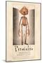 Netflix Guillermo Del Toro's Pinocchio - Pinocchio-Trends International-Mounted Poster