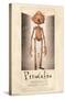 Netflix Guillermo Del Toro's Pinocchio - Pinocchio-Trends International-Stretched Canvas