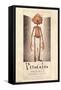 Netflix Guillermo Del Toro's Pinocchio - Pinocchio-Trends International-Framed Stretched Canvas
