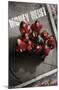 Netflix La Casa de Papel - Money Heist Roof-Trends International-Mounted Poster