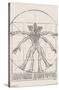 Netflix Stranger Things: Season 4 - Vitruvian Demogorgon-Trends International-Stretched Canvas