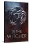 Netflix The Witcher: Season 3 - Medallion One Sheet-Trends International-Stretched Canvas
