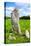 Nether Largie Standing Stones Ancient Site at Kilmartin Glen in Scotland-naumoid-Stretched Canvas