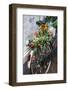 Netherlands, Amsterdam, bicycle covered in tuiips-Walter Bibikw-Framed Photographic Print