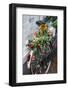 Netherlands, Amsterdam, bicycle covered in tuiips-Walter Bibikw-Framed Photographic Print