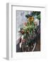 Netherlands, Amsterdam, bicycle covered in tuiips-Walter Bibikw-Framed Photographic Print