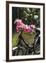 Netherlands, Amsterdam. Bicycle detail-Walter Bibikow-Framed Photographic Print