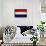 Netherlands Flag Design with Wood Patterning - Flags of the World Series-Philippe Hugonnard-Framed Stretched Canvas displayed on a wall