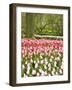 Netherlands. Forest and flowers in the Keukenhof Gardens-Terry Eggers-Framed Photographic Print