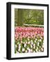 Netherlands. Forest and flowers in the Keukenhof Gardens-Terry Eggers-Framed Photographic Print