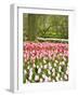 Netherlands. Forest and flowers in the Keukenhof Gardens-Terry Eggers-Framed Photographic Print