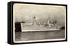 Netherlands Government, S.S. Zuiderkruis, Dampfer-null-Framed Stretched Canvas