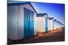 Netherlands, Holland, on the West Frisian Island of Texel, North Holland, Huts on the Beach-Beate Margraf-Mounted Photographic Print