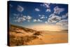 Netherlands, Holland, on the West Frisian Island of Texel, Province of North Holland-Beate Margraf-Stretched Canvas