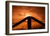 Netherlands, Holland, on the West Frisian Island of Texel, Province of North Holland-Beate Margraf-Framed Photographic Print