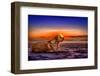 Netherlands, Holland, Province of North Holland-Beate Margraf-Framed Photographic Print