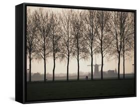 Netherlands, Holland, South Holland, Tree and Windmill-David Barnes-Framed Stretched Canvas