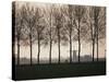 Netherlands, Holland, South Holland, Tree and Windmill-David Barnes-Stretched Canvas