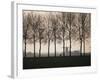 Netherlands, Holland, South Holland, Tree and Windmill-David Barnes-Framed Photographic Print