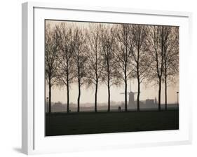 Netherlands, Holland, South Holland, Tree and Windmill-David Barnes-Framed Photographic Print