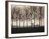 Netherlands, Holland, South Holland, Tree and Windmill-David Barnes-Framed Photographic Print