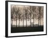 Netherlands, Holland, South Holland, Tree and Windmill-David Barnes-Framed Photographic Print