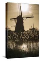 Netherlands, Kinderdijk. Traditional Dutch windmills-Walter Bibikow-Stretched Canvas