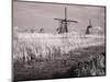 Netherlands, Kinderdijk. Windmills at sunset in Kinderdijk-Terry Eggers-Mounted Photographic Print