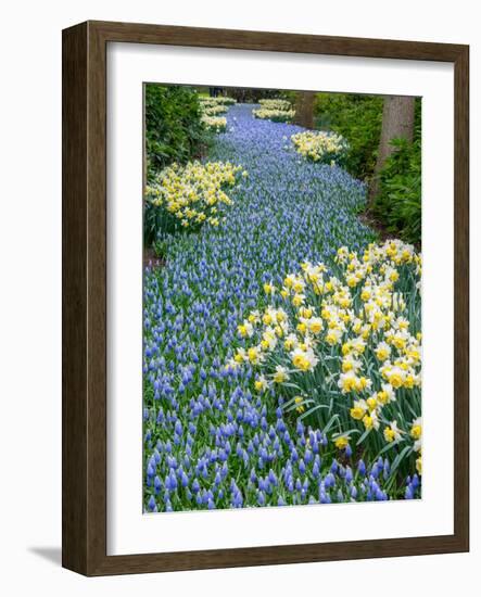 Netherlands, Lisse. Flower displays at Keukenhof Gardens.-Julie Eggers-Framed Photographic Print