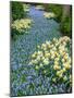 Netherlands, Lisse. Flower displays at Keukenhof Gardens.-Julie Eggers-Mounted Photographic Print