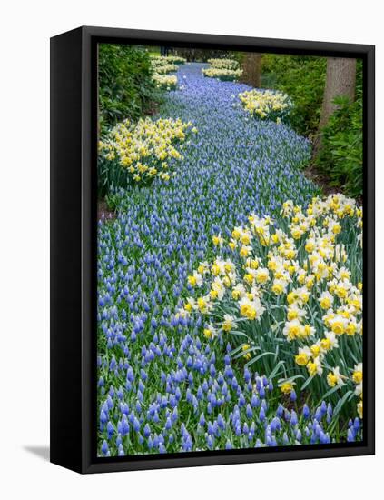 Netherlands, Lisse. Flower displays at Keukenhof Gardens.-Julie Eggers-Framed Stretched Canvas